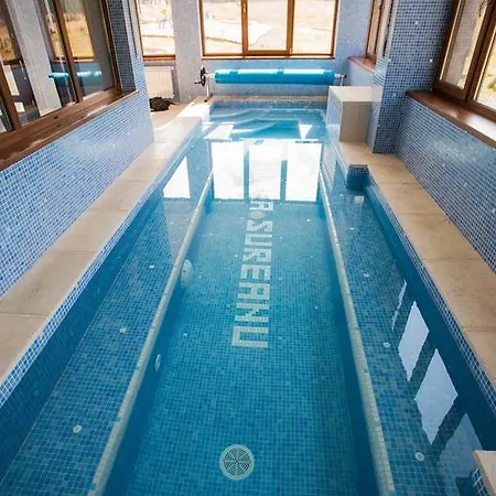 Guest house Pensiunea Sureanu 4*